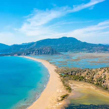 빌라 Kelebek Paradise