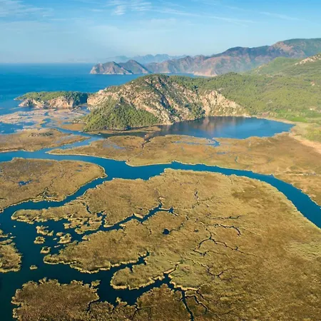 빌라 Kelebek Paradise *